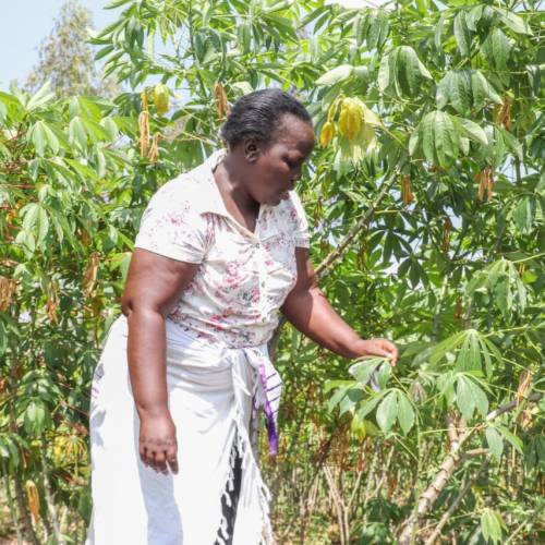 Emily Odhiambo: When things fall apart
